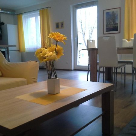 Rodinny Apartman Lucie V Blizkosti Wellness Hotelu Ve Frymburku Exterior photo